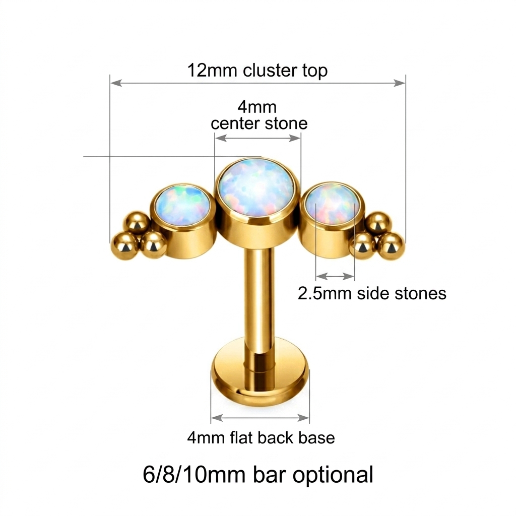 จิวเจาะริมฝีปาก/หู ไทเทเนียม G - Flat Back Labret Stud บทวิจารณ์และราคา