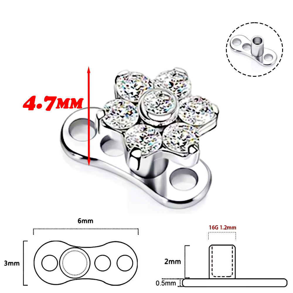 เครื่องประดับเจาะร่างกายแบบซ่อ - Body Jewelry Implant Grade Titanium บทวิจารณ์และราคา